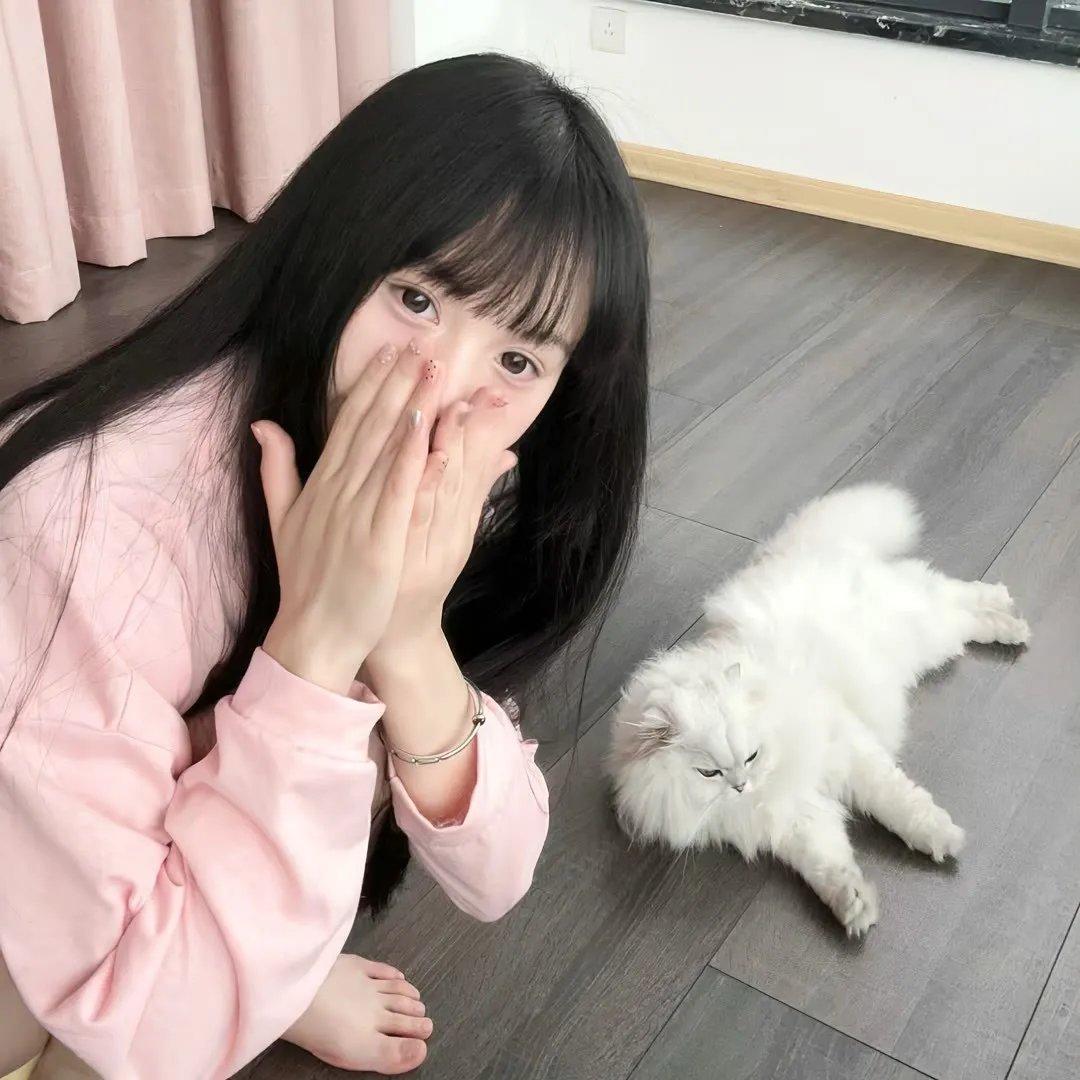 韩国泪的小花